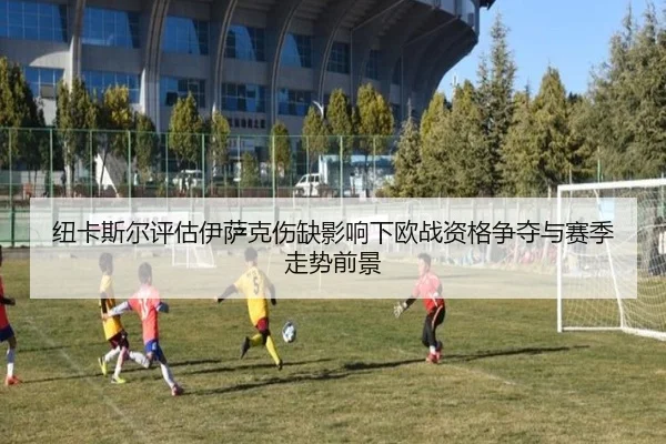 纽卡斯尔评估伊萨克伤缺影响下欧战资格争夺与赛季走势前景 - leyu